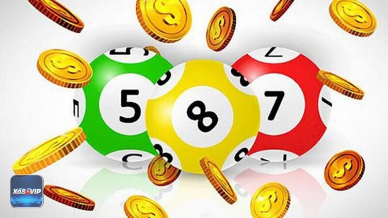 Kết quả xổ số bình thuận - Kết quả xổ số bình thuận thuộc miền nào? Kết quả xổ số bình thuận - Kết quả xổ số bình thuận thuộc miền nào?