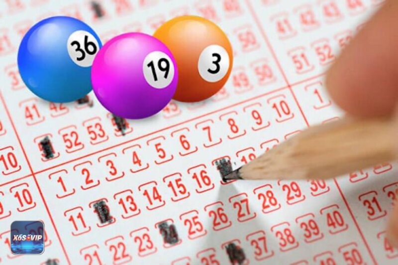 Kết quả xổ số gia lai - Bảng loto của đài